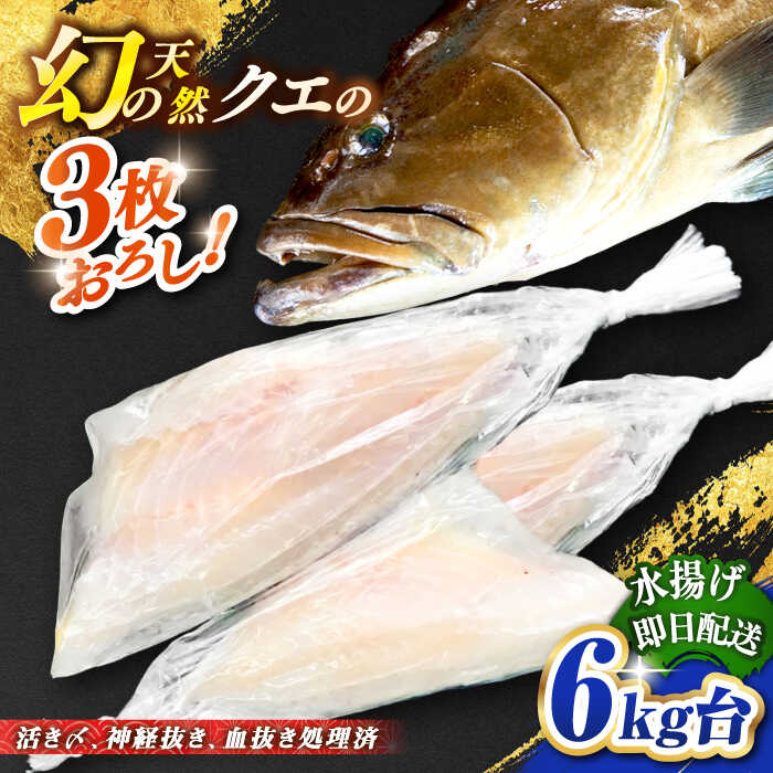 【ふるさと納税】天然クエ（6キロ台・3枚おろし） 《壱岐市》【壱岐島　玄海屋】[JBS059] クエ 魚 刺身 しゃぶしゃぶ 450000 450000円 45万円 のし プレゼント ギフト