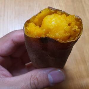 【驚異の最高糖度50度超え】ギリギリまで糖化させた幻のシャトーブリアン焼き芋2025年2月上旬～発送【配送不可地域：離島】【1586926】