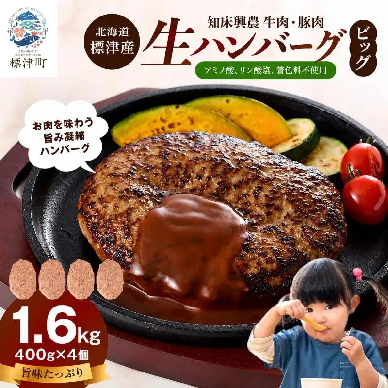 ビッグ生ハンバーグ 400g×4個セット ビッグハンバーグ 【AC】