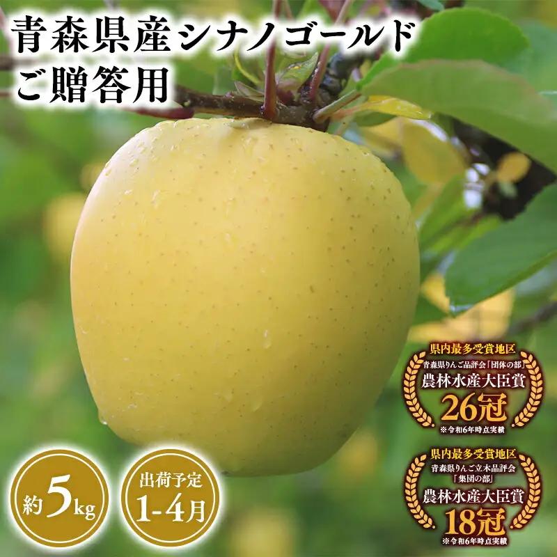 りんご 贈答用 シナノゴールド5kg りんご