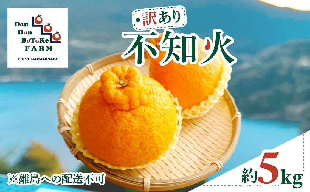 
                  【先行予約】【訳あり】不知火 約5kg　※2027年2月下旬より順次発送予定  【ふるさと納税 人気 おすすめ ランキング 柑橘 みかん ミカン フルーツ mikan 果物 オレンジ 不知火 訳あり Dan Dan BaTaKe FARM 愛媛県産 愛媛県 伊方町 送料無料】 IKTAU016 
                