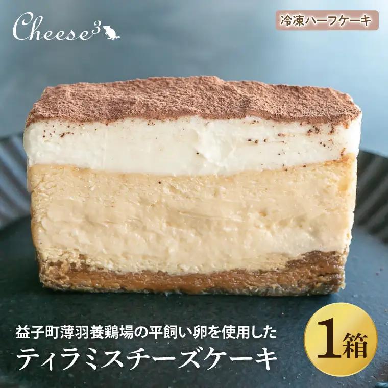 ティラミスチーズケーキ 冷凍 ハーフ CP006
