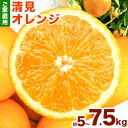 【ふるさと納税】＜先行予約＞【ご家庭用訳アリ】 紀州有田産清見オレンジ 5kg 7.5kg 株式会社魚鶴商店《2025年3月上旬-4月上旬頃出荷》 和歌山県 日高町 オレンジ 柑橘 ご家庭用