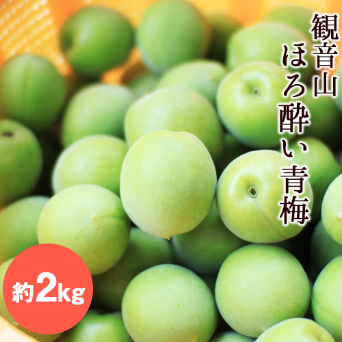 
            【先行予約】観音山ほろ酔い青梅 2kg 有限会社柑香園 《2026年6月上旬-6月下旬頃出荷》 和歌山県 紀の川市 梅
          