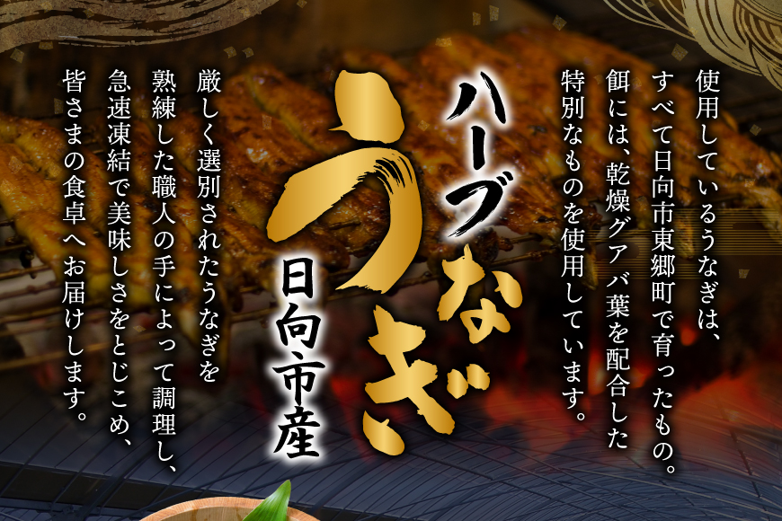 うなぎ ハーブ うなぎ蒲焼 計 1kg 以上 6～8尾 タレ 山椒 付き [鰻楽 宮崎県 日向市 452061198] セット 鰻楽 宮崎県産 真空パック 国産 蒲焼き ウナギ 鰻 長蒲焼 冷凍
