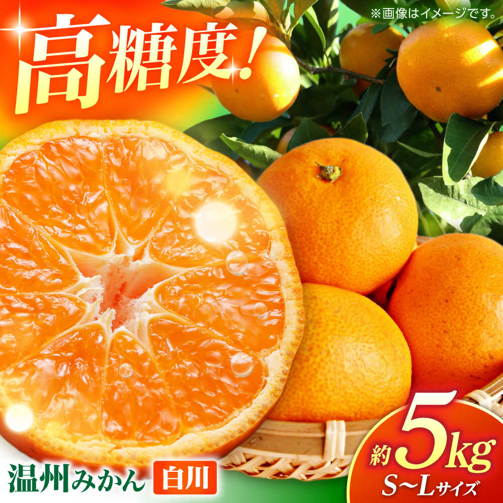 【ふるさと納税】【先行予約】 温州みかん 『白川』 約5kg S〜Lサイズ 【奥村果実園】[ZFK007]