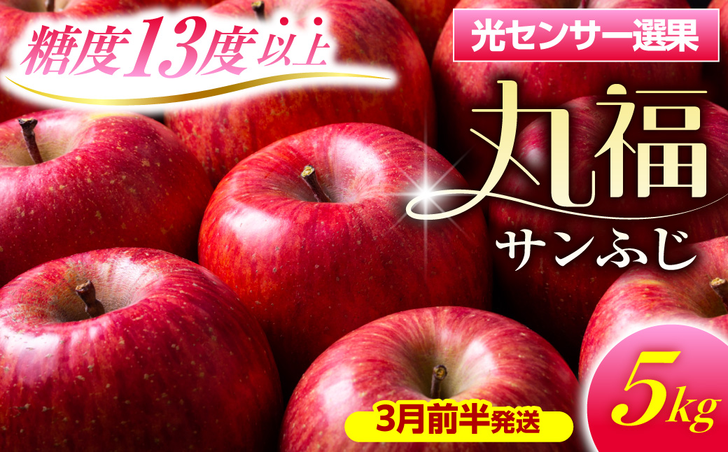 【2027年3月前半発送】 りんご 約5kg ≪丸福≫ サンふじ 【光センサー選果 糖度13度以上】 青森県産