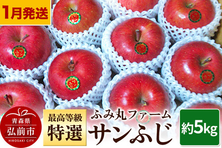 【寄附金額見直しました】【26年1月～発送】りんご ふみ丸ファーム 最高等級「特選」サンふじ 約5kg