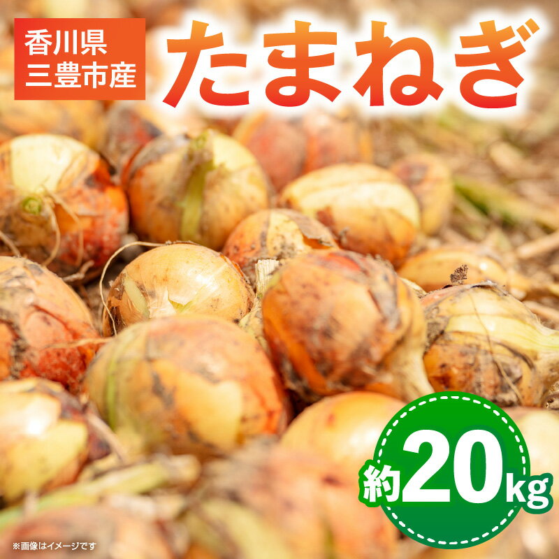 【ふるさと納税】【先行予約】 三豊市のたまねぎ　約20kg