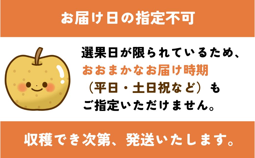 王秋梨(特秀) 5kg