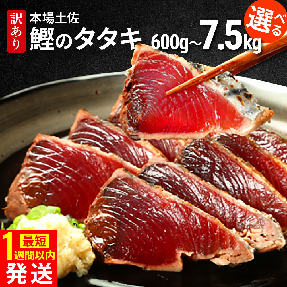 本場土佐 カツオたたき1.5Kg 訳あり