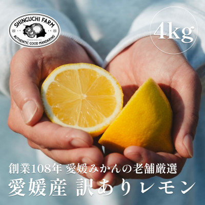 
            ＜訳あり＞愛媛レモン 4kg＜防腐剤・ワックス不使用＞＜C70-74＞【1622582】
          