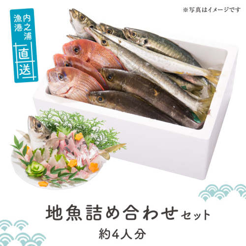 魚屋さんの選んだ新鮮お魚詰め合わせ（約4人分）