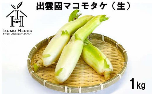 出雲國マコモタケ（生） 1kg 出雲市産 322032_CQ005