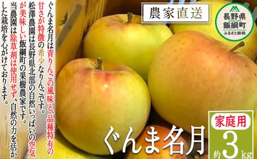 りんご ぐんま名月 家庭用 3kg 松澤農園 沖縄県への配送不可 2024年11月下旬頃から2025年1月上旬頃まで順次発送予定 令和6年度収穫分 長野県 飯綱町 [1066]