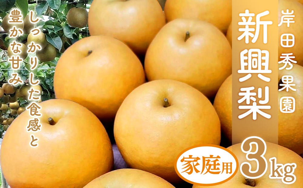 
                  岸田秀果園 新興梨 (自家用)3kg【10月頃お届け】
                