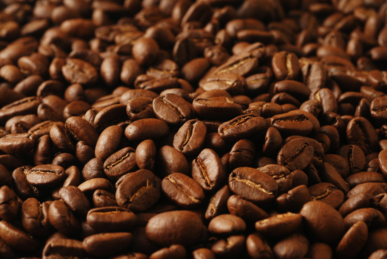 【ふるさと納税】 さぬき珈琲 純国産コーヒー豆 100g (自家焙煎) [コーヒー 珈琲 国産 香川県 三豊市 自家焙煎 豆 粉 選べる 送料無料 ギフト 人気 返礼品 セブントレジャー農園 ]
