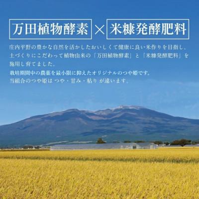 ふるさと納税 酒田市 令和7年産 つや姫(万田植物酵素・米糠醗酵肥料使用) 精米 5kg 農産物検査員おすすめの庄内米 |  | 01
