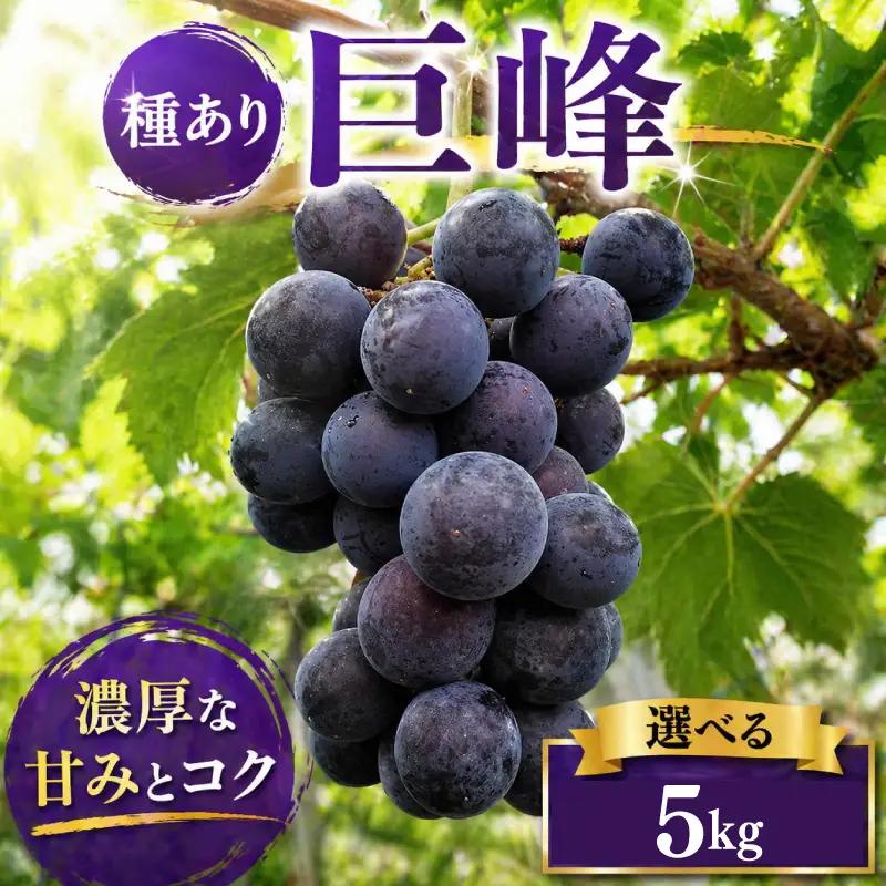 ぶどう 巨峰 種あり 5kg 巨峰