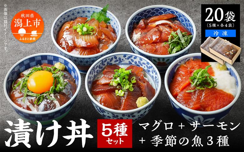 海鮮漬け丼セット 5種×4袋 60g×20袋 計1200g 1.2kg 食べ比べ 訳アリ 訳あり 簡易包装 冷凍 海鮮丼 海鮮 マグロ サーモン タイ アジ イナダ 季節 魚 漬け 丼 魚介 簡単調理