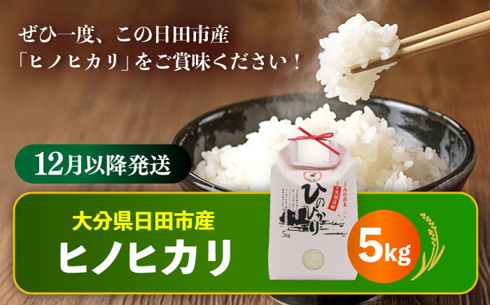 【先行予約・25年12月以降発送】令和7年産大分県産ヒノヒカリ 5kg　日田市 / JAおおいた日田グリーンセンター こめ コメ 米 [ARDX006]