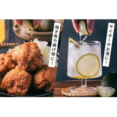 ふるさと納税 日向市 へべす　シロップ120ml×1本　100%果汁150ml×2本　計3本セット |  | 02