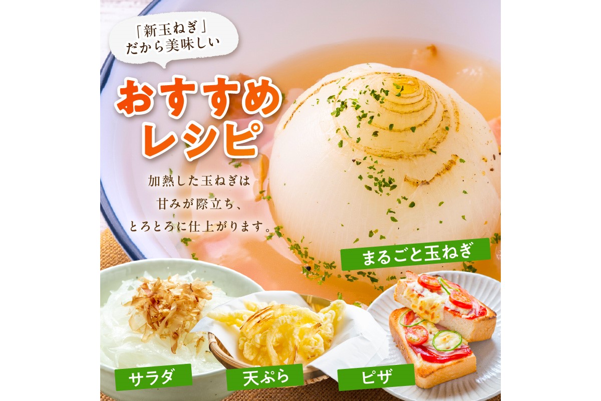 【訳あり】新たまねぎ　JA00063