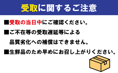 【にんにく】 生にんにく 新物 約2kg バラ 野菜 にんにく