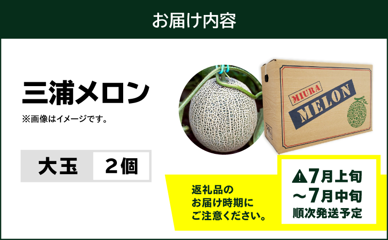 ＜先行予約＞三浦メロン（大玉2個）　M080-002-01