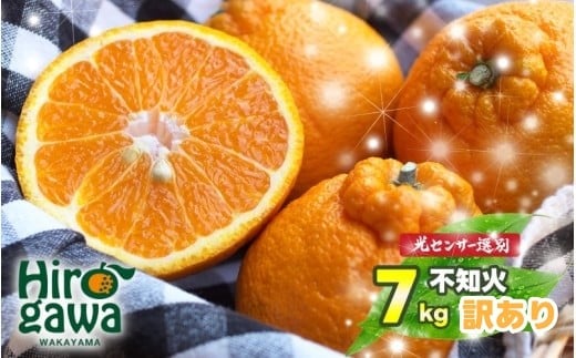 
                  不知火（デコポン）7kg 訳あり （サイズ混合） ※2月中旬～4月中旬に順次発送予定 ※北海道・沖縄・離島への配送不可 / しらぬい 柑橘類 果物 和歌山 有田 広川【nuk010-noka-7】
                