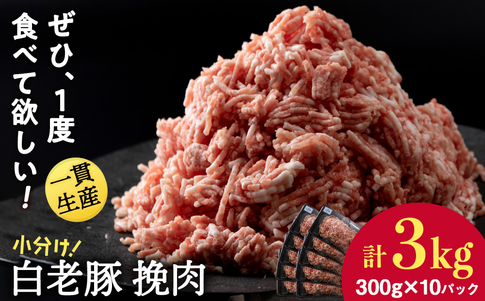 北海道産 白老豚 挽肉 300g×10パック BV014