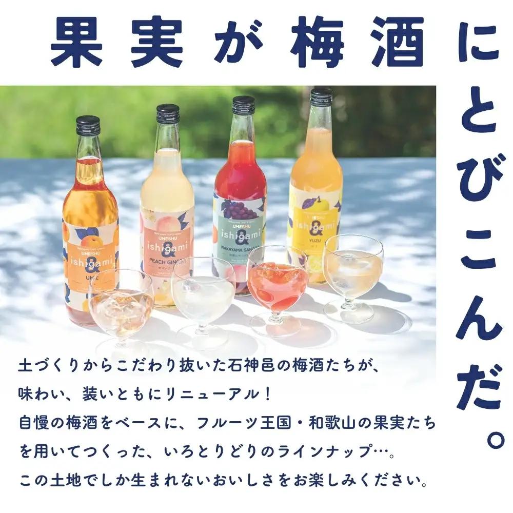 梅酒 ishigami&（イシガミアンド) 600ml×4本セット / 石神邑梅酒 田辺市 梅干し 梅干 梅 うめ 梅ジュース 梅酒 セット 炭酸割り 紀州産 フルーツ【isg039-1】