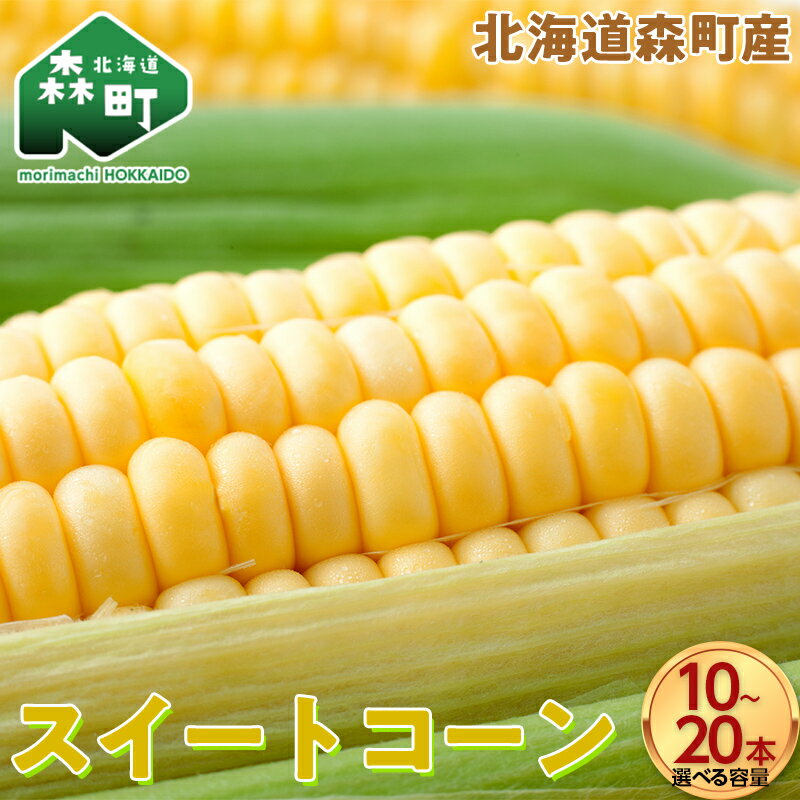 【ふるさと納税】容量が選べる スイートコーンイエロー Lサイズ 10本 20本 北海道森町産 （令和7年7月下旬から順次発送予定） こうのファーム とうもろこし トウモロコシ とうきび トウキビ 唐黍 野菜 やさい たっぷり 甘い 北海道 森町 ふるさと納税 mr1-0472var