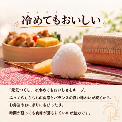 ふるさと納税 柳川市 【令和8年産】元気つくし 白米 5kg |  | 01
