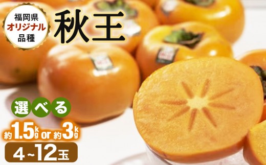 
                  【選べる内容量】＜先行予約＞福岡産(柿)秋王(あきおう)約1.5kg~3kg(4-12玉)(篠栗町)【NF007-oya】
                