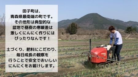 【農家直送】田子町産むきニンニク『２kg』（500g×4）