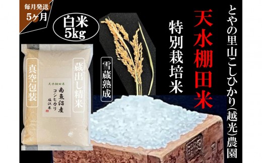 定期便「とやの里山継承プロジェクト対象」【天水棚田米】南魚沼塩沢産コシヒカリ　精米5kg全5回