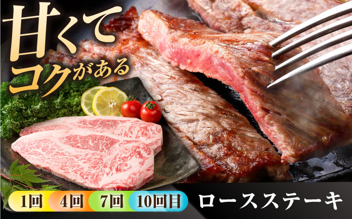 【肉のプロが厳選！】【全12回】佐賀県産和牛 贅沢定期便【株式会社いろは精肉店】 [IAG070]