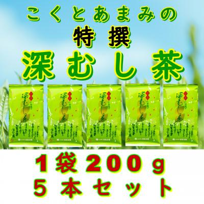 ふるさと納税 南九州市 【自宅用】知覧茶園の特撰深むし茶 1kg(200g×5本セット)