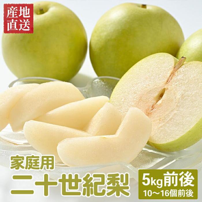 【ふるさと納税】【先行予約】【家庭用】二十世紀梨 5kg前後 (10個～16個前後) 鳥取県産 ※着日指定不可 ※2026年8月下旬～9月中旬頃に順次発送予定 | 梨 なし 訳あり 5kg 新鮮 2026年 令和8年 二十世紀 鳥取県 北栄町 おすすめ 人気 大容量 国産 送料無料
