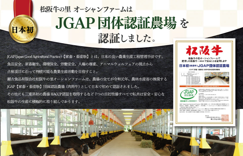 【2027年6月より順次発送】松阪牛 小間切れ 600g（200g×3P) 肉 牛 牛肉 和牛 ブランド牛 高級 国産 冷凍 ふるさと 人気 小間切れ コマ切れ コマ 焼肉 肉じゃが 牛丼 SS152