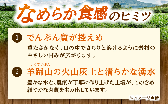 じゃがいも とうや 5kg | じゃがいも とうや 野菜 やさい 北海道 産地直送 | 道の駅 真狩フラワーセンター [BPAM017]