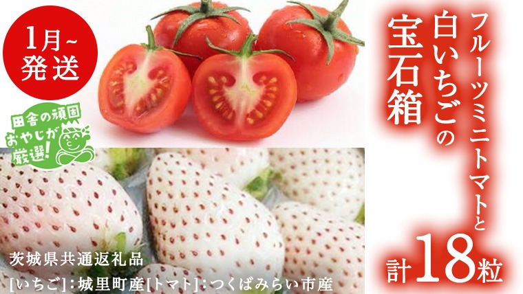 白いちご と フルーツミニトマトの 宝石箱 18粒 【1月から発送開始】（茨城県共通返礼品 [いちご]：城里町産　[トマト]：つくばみらい市産） 詰め合わせ 果物 フルーツ 茨城県産