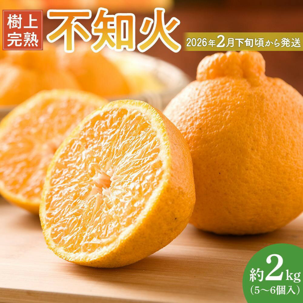 【ふるさと納税】［限定］不知火 樹上完熟 約2kg （5～6個入）［2026年2月下旬頃から3月下旬頃発送］［KG6］ | 不知火 柑橘 フルーツ 果物 くだもの 食品 人気 おすすめ 送料無料