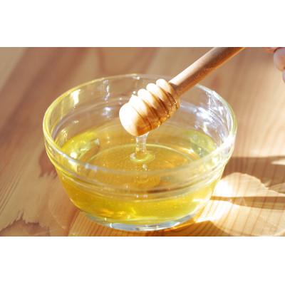ふるさと納税 半田市 竹内養蜂の蜂蜜1種(みかん2本) 各200g プラスチック便利容器 |  | 01