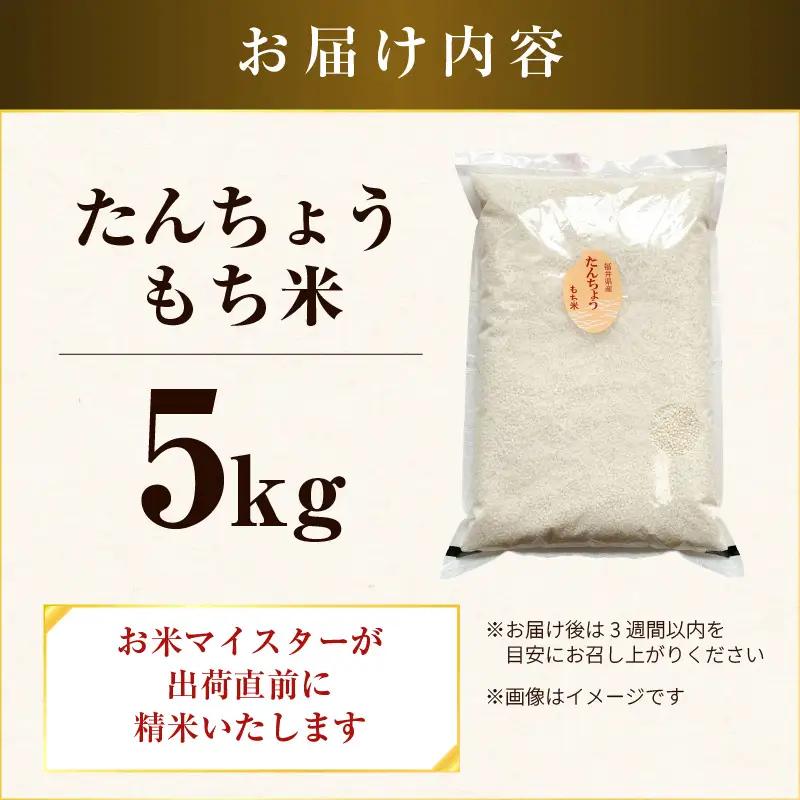 【令和7年産】たんちょうもち米 5kg 精米 ≪希少！お餅作りに最良≫ ／ 餅 タンチョウ 餅つき 丸餅 柏餅 [aw064-a021]
