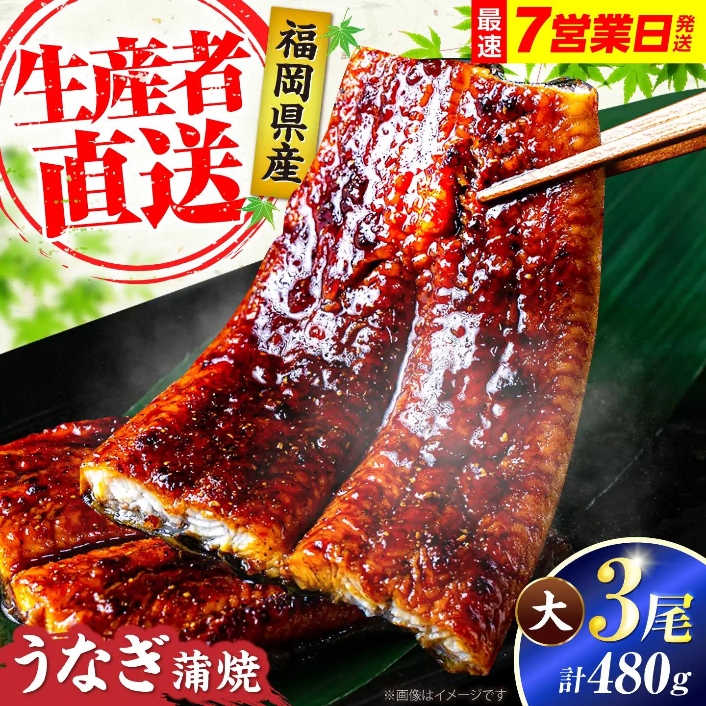 うなぎ 蒲焼大3尾 計480g うなぎ VAD003