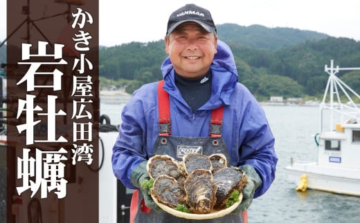 【数量限定】 夏が旬！ かき小屋広田湾の岩牡蠣 約2kg 専用ナイフ・軍手付き 【 かき カキ 牡蠣 殻付き バーベキュー 人気 おすすめ 三陸産 】 RT371