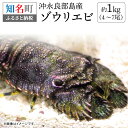 【ふるさと納税】沖永良部島産 ゾウリエビ 約1kg 4~7尾 えび 希少 旨味 甘味 甲殻類 魚介類 海の幸 刺身 塩ゆで 急速冷凍 漁師直送 産地直送 人気 おすすめ オススメ お取り寄せ グルメ 送料無料