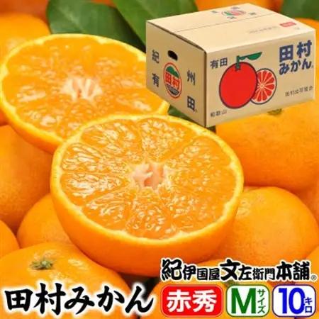 【日高町】田村みかん 特選ギフト品10kg【Mサイズ】赤秀/湯浅町田村地区産/産地直送【1221328】